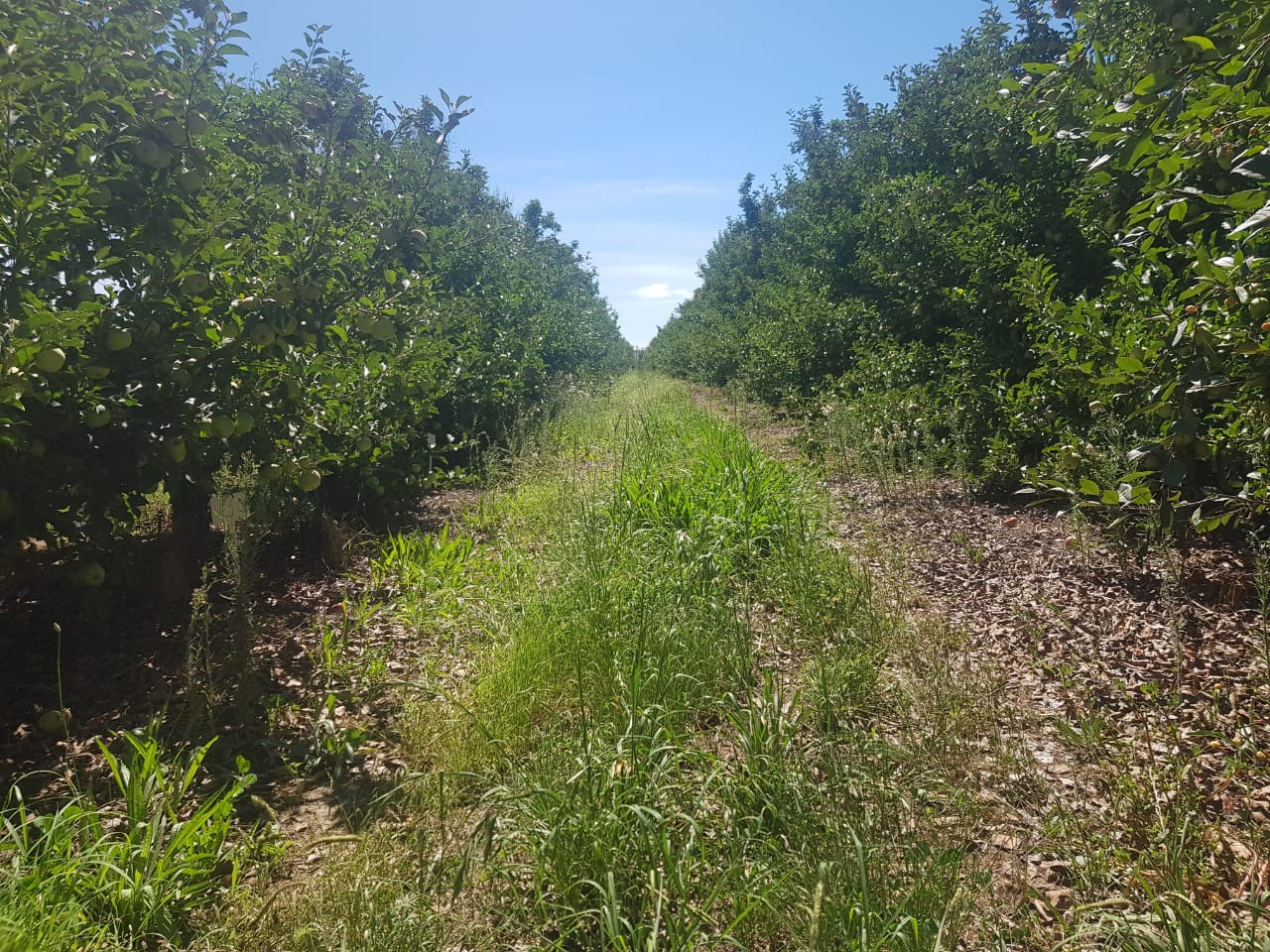 2ed96d79-18ff-4295-a2de-dc60172939a9