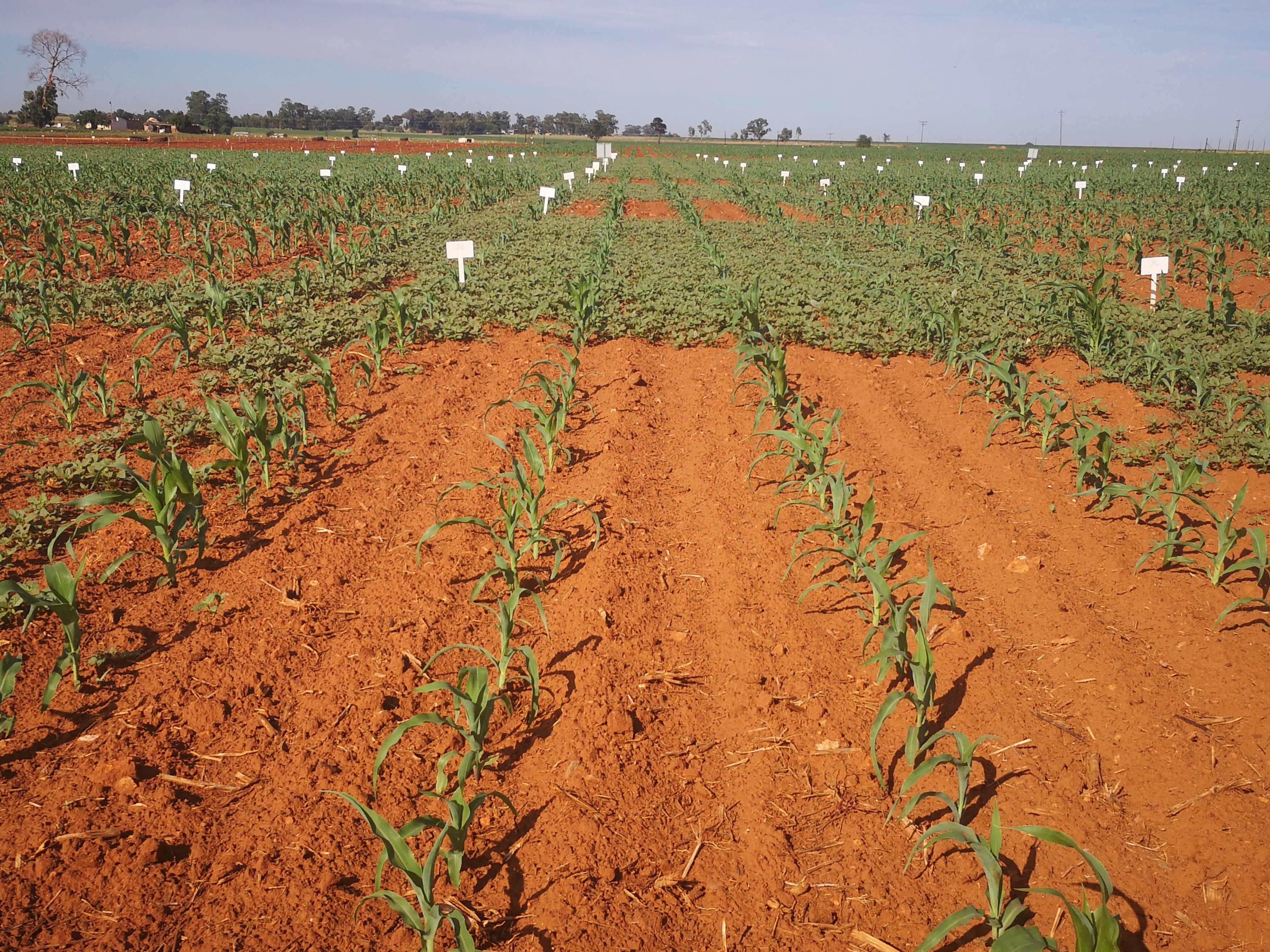 smartcapture smartcapture